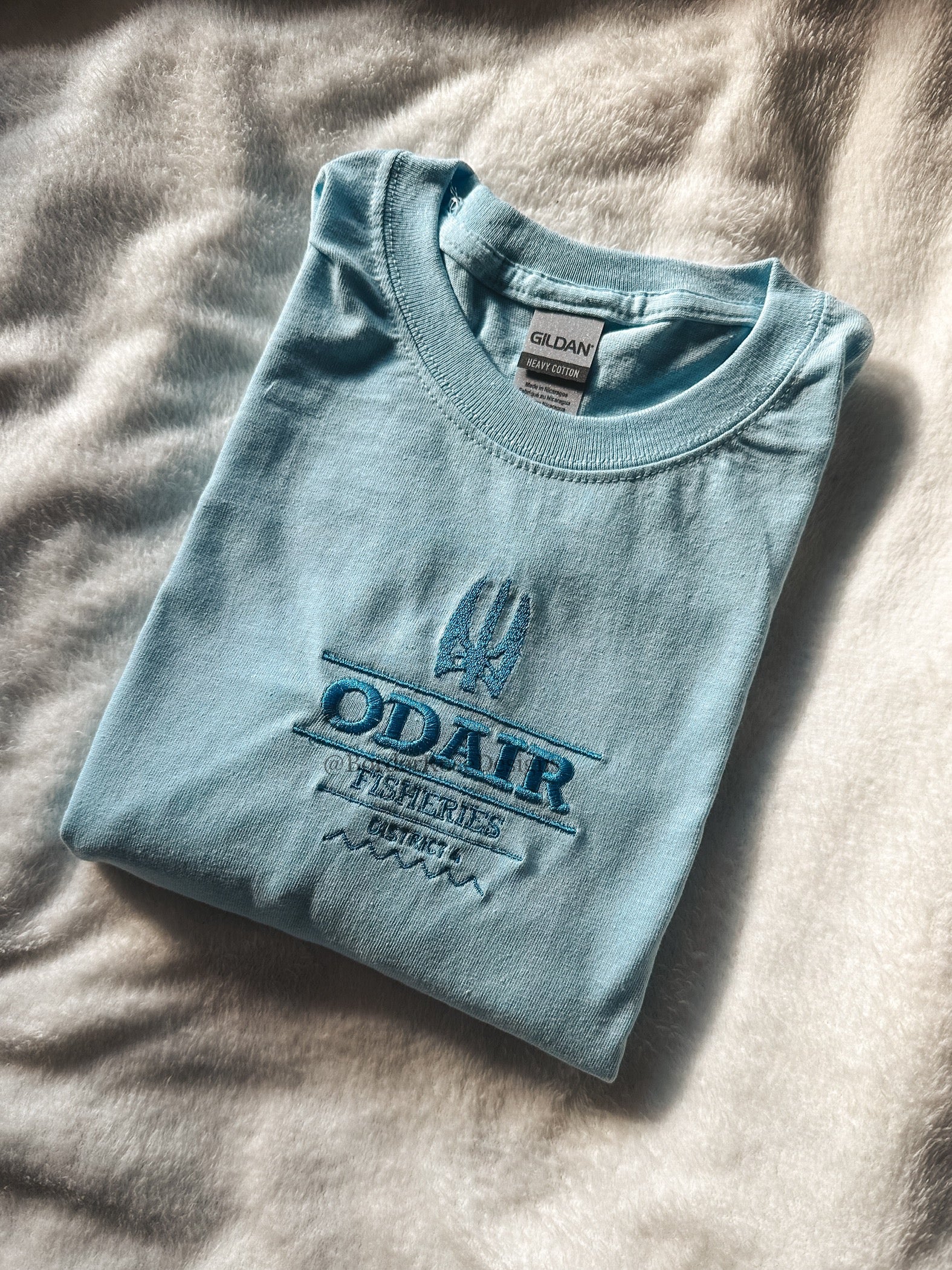 Odair's Fisheries Ready to Ship Unisex Embroidered T Shirt